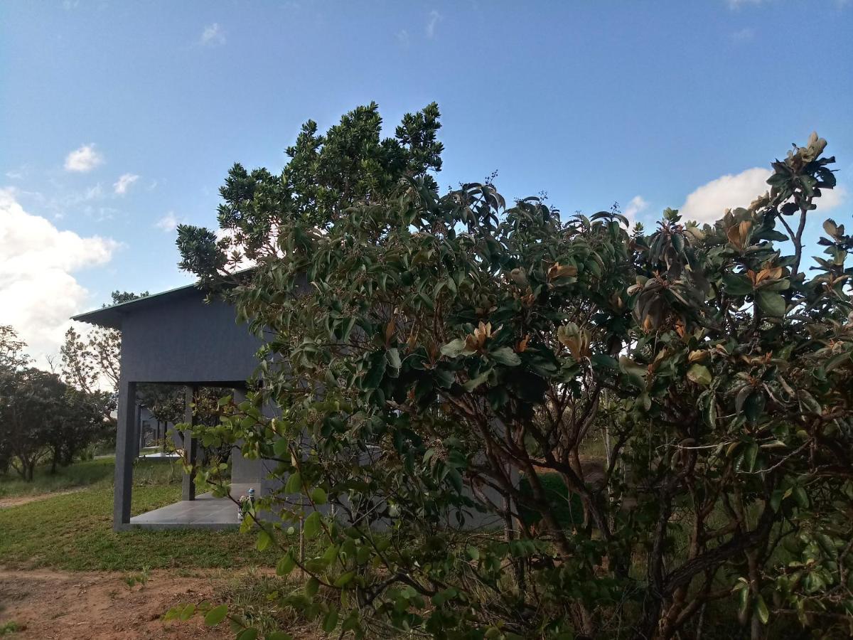 Chales Recanto Da Baleia Alto Paraíso de Goiás المظهر الخارجي الصورة